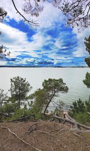 Preview wallpaper coast, trees, lake, clouds