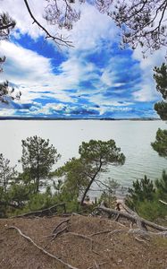 Preview wallpaper coast, trees, lake, clouds