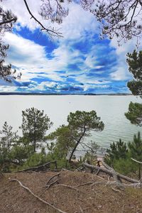 Preview wallpaper coast, trees, lake, clouds