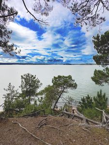 Preview wallpaper coast, trees, lake, clouds