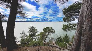 Preview wallpaper coast, trees, lake, clouds