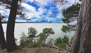 Preview wallpaper coast, trees, lake, clouds