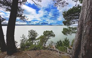 Preview wallpaper coast, trees, lake, clouds