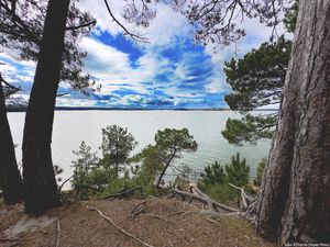 Preview wallpaper coast, trees, lake, clouds