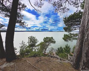 Preview wallpaper coast, trees, lake, clouds