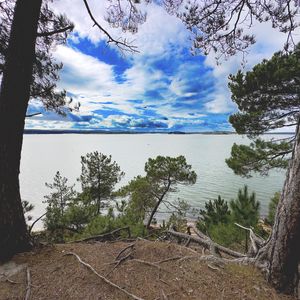 Preview wallpaper coast, trees, lake, clouds