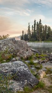 Preview wallpaper coast, trees, lake, landscape, nature