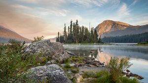 Preview wallpaper coast, trees, lake, landscape, nature