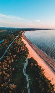 Preview wallpaper coast, trees, sea, sand, distance, horizon