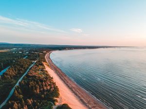 Preview wallpaper coast, trees, sea, sand, distance, horizon