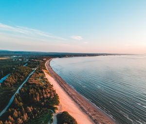 Preview wallpaper coast, trees, sea, sand, distance, horizon