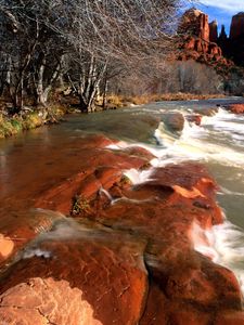 Preview wallpaper coast, water, stones, canyons, trees