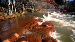 Preview wallpaper coast, water, stones, canyons, trees