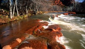 Preview wallpaper coast, water, stones, canyons, trees