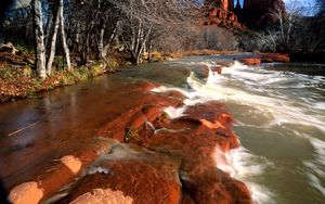 Preview wallpaper coast, water, stones, canyons, trees