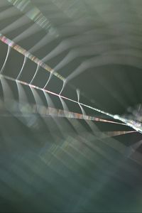 Preview wallpaper cobweb, blur, macro, light