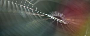 Preview wallpaper cobweb, blur, macro, light