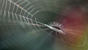 Preview wallpaper cobweb, blur, macro, light