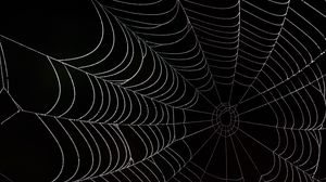 Preview wallpaper cobweb, darkness, macro, black