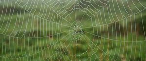 Preview wallpaper cobweb, dew, drops, macro, wet