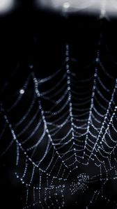 Preview wallpaper cobweb, drops, dark