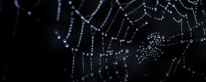 Preview wallpaper cobweb, drops, dark