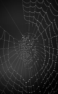 Preview wallpaper cobweb, drops, dark background, macro