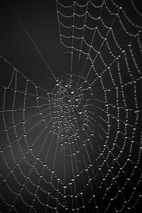 Preview wallpaper cobweb, drops, dark background, macro