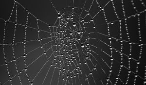 Preview wallpaper cobweb, drops, dark background, macro