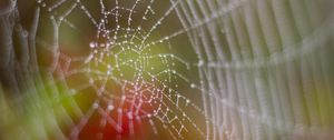 Preview wallpaper cobweb, drops, dew, wet, macro