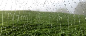 Preview wallpaper cobweb, drops, dew, macro, fog