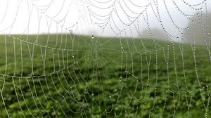 Preview wallpaper cobweb, drops, dew, macro, fog
