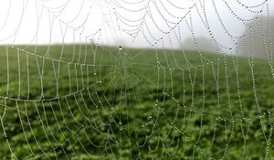 Preview wallpaper cobweb, drops, dew, macro, fog