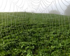 Preview wallpaper cobweb, drops, dew, macro, fog