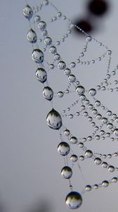 Preview wallpaper cobweb, drops, dew, light, shape