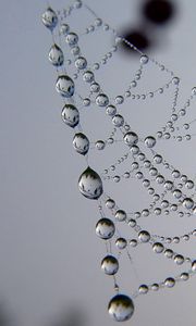 Preview wallpaper cobweb, drops, dew, light, shape