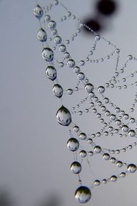 Preview wallpaper cobweb, drops, dew, light, shape