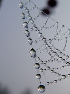 Preview wallpaper cobweb, drops, dew, light, shape