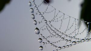 Preview wallpaper cobweb, drops, dew, light, shape