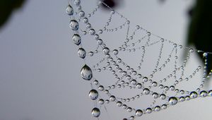 Preview wallpaper cobweb, drops, dew, light, shape