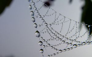 Preview wallpaper cobweb, drops, dew, light, shape