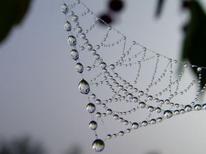 Preview wallpaper cobweb, drops, dew, light, shape