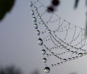 Preview wallpaper cobweb, drops, dew, light, shape