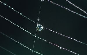 Preview wallpaper cobweb, drops, glare, macro, green