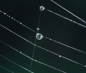 Preview wallpaper cobweb, drops, glare, macro, green