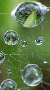 Preview wallpaper cobweb, drops, green, gray