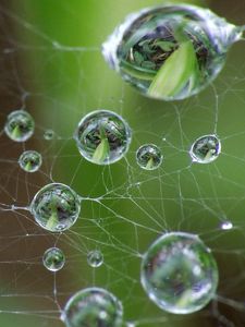 Preview wallpaper cobweb, drops, green, gray