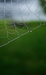 Preview wallpaper cobweb, drops, macro, water, blur