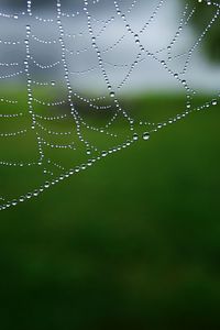 Preview wallpaper cobweb, drops, macro, water, blur