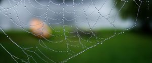 Preview wallpaper cobweb, drops, macro, water, blur